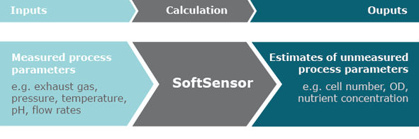 SoftSensor