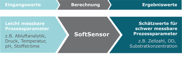 SoftSensor ist eine Software, welche die mathematische Beschreibung der Zusammenhänge zwischen Eingangs- und Ergebniswerten enthält.