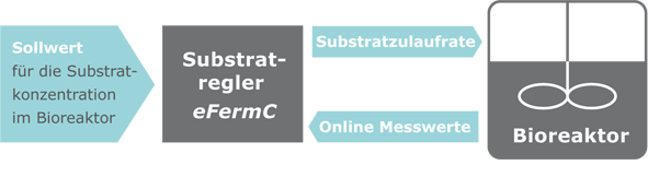 Robuste und flexible Lösungen für Produktion und Prozessentwicklung